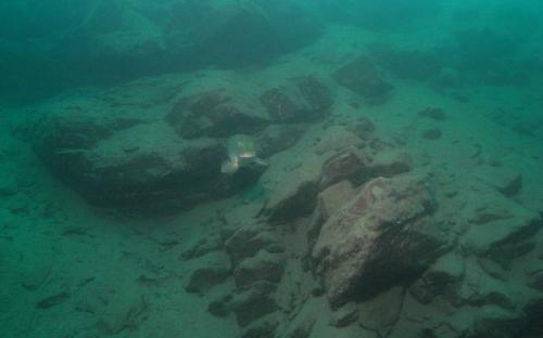 M0035909.JPG