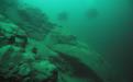 M0035798.jpg
