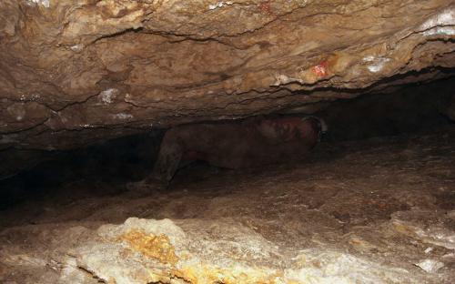 Koppenbrüllerhöhle