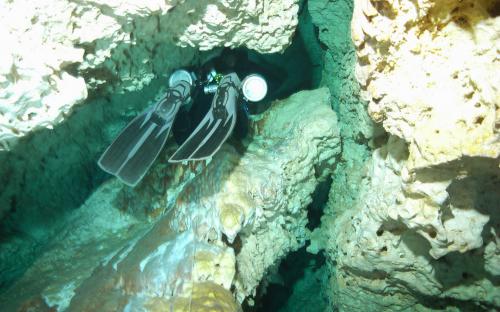 Cenoten rund um Tulum 