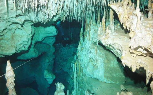 Cenoten rund um Tulum 