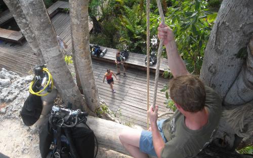 Cenoten rund um Tulum 