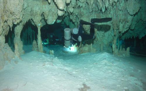 Cenoten rund um Tulum 