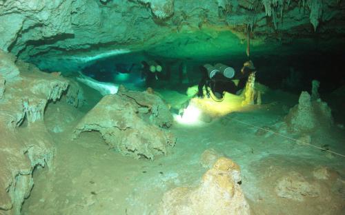 Cenoten rund um Tulum 