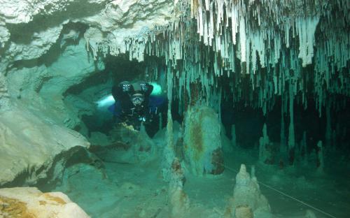 Cenoten rund um Tulum 