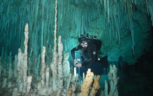 Cenoten rund um Tulum 